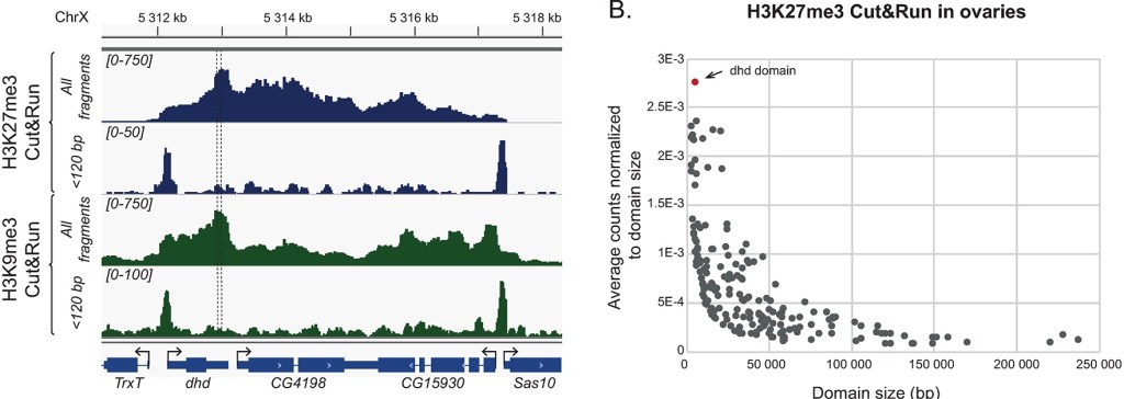 Improved mapping in heterochromatin and fruit&nbsp;fly
